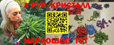 шишки Канаш