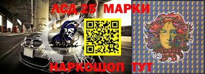 шишки Канаш