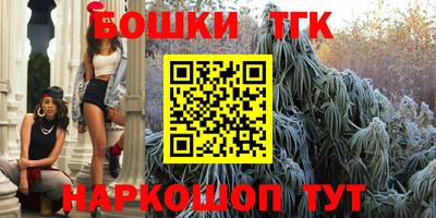 шишки Канаш