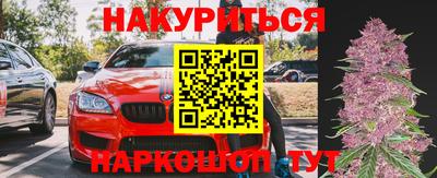 стаф Камышлов