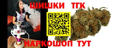 стаф Камышлов