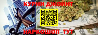 спиды Кингисепп