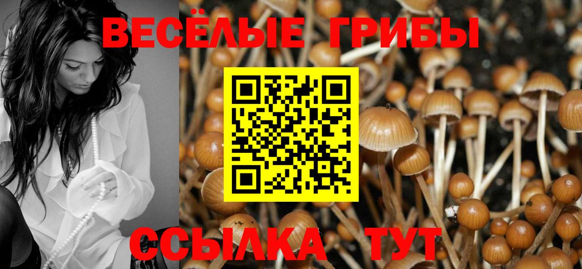 цены   Вход с VPN  Кумертау  Галлюциногенные грибы Psilocybe 